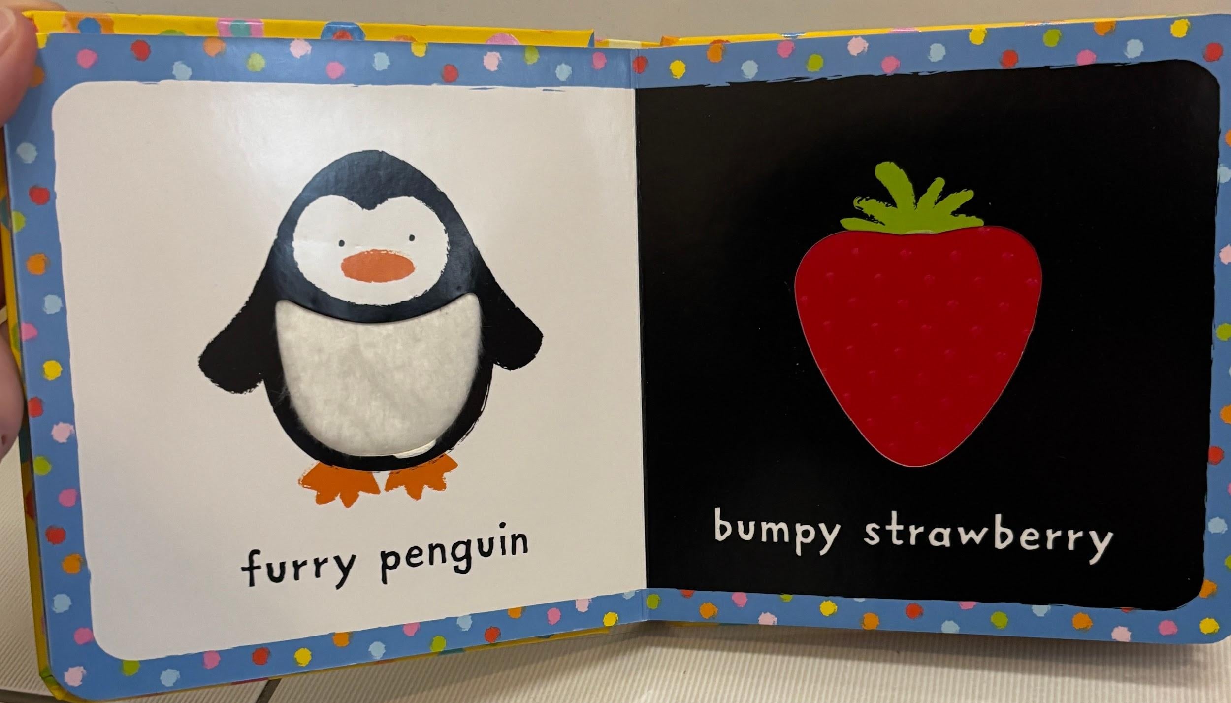 Baby's Very First Touchy-Feely Book