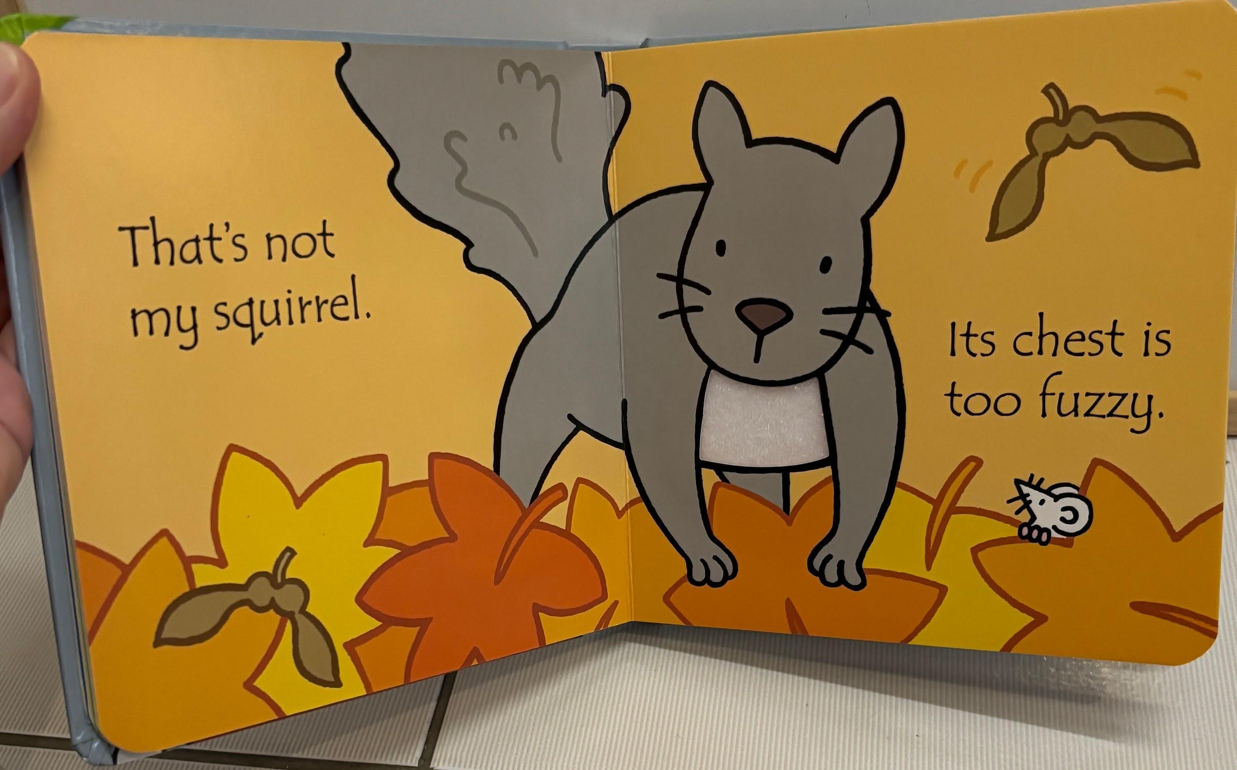 That's Not My Squirrel