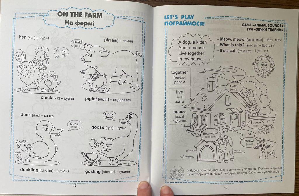 English For Beginners