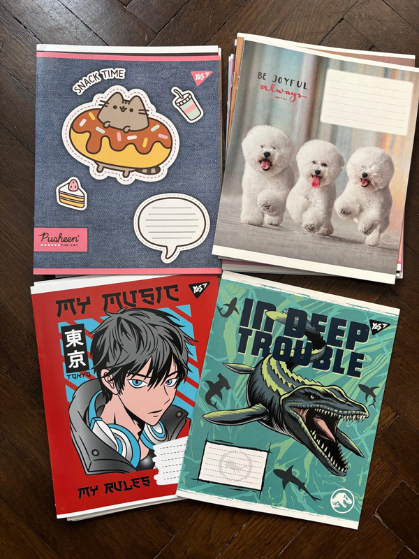 Notebooks, blank - 20