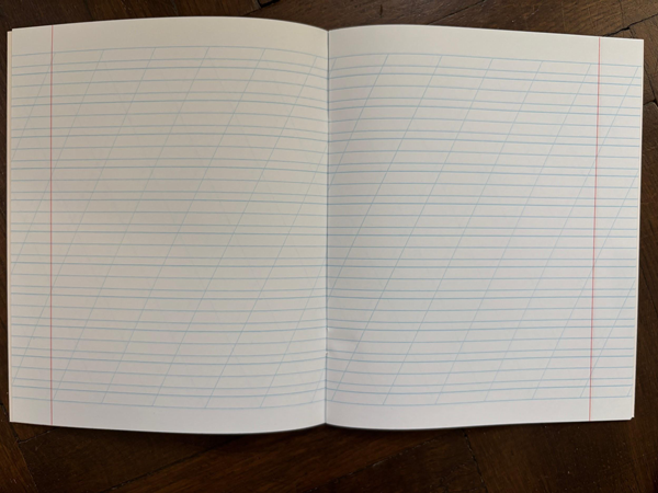 Notebooks, blank - 20